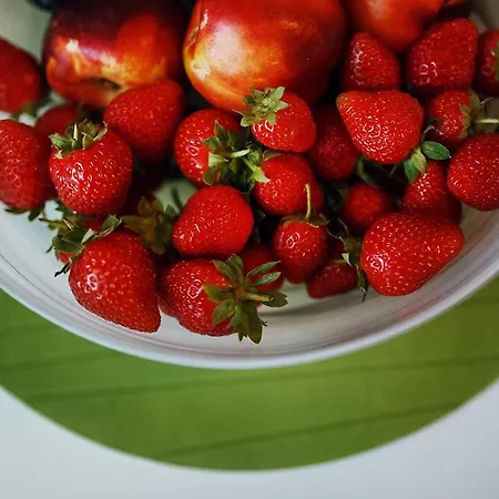 Ballare Daire Druskininkai